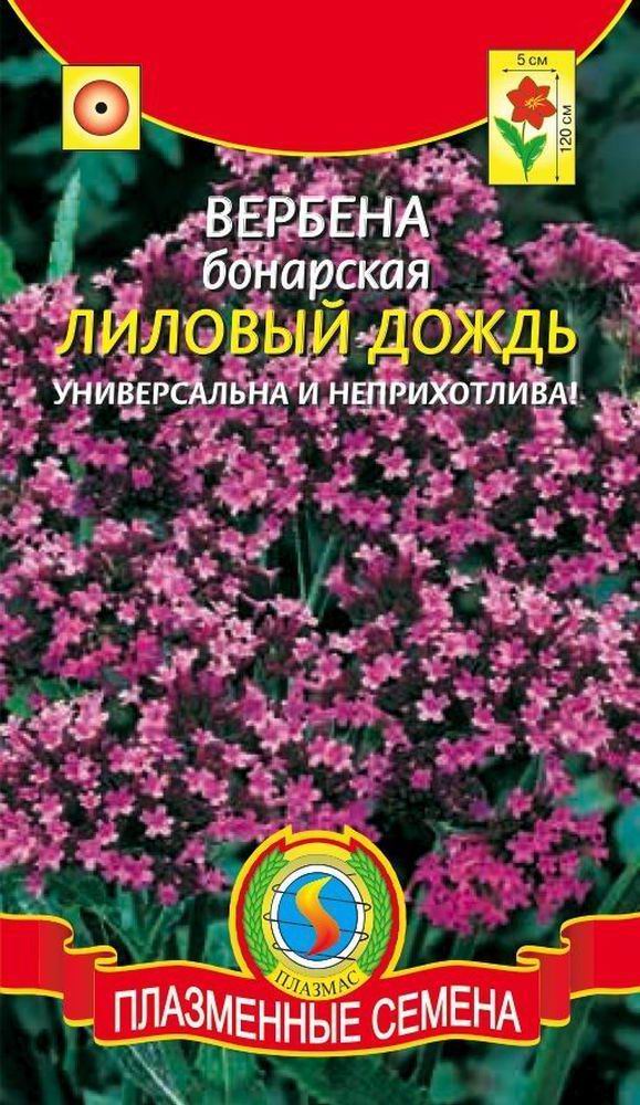 Вербена бонарская – королева цветника | Garden Industry ...