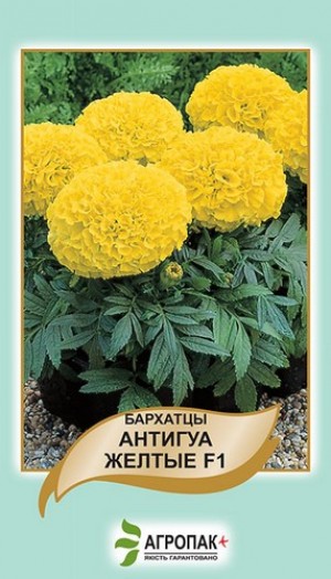 Бархатцы прямостоячие Антигуа, желтые F1 (Tagetes еrecta ...