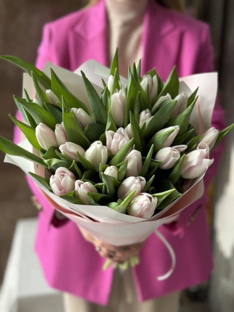 Tulips Donatello 41cm | Wholesale Dutch ...