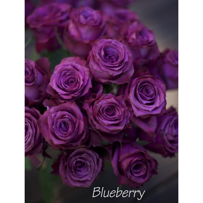 Wild Blueberry and Rose Water Smoothie – Tasty Balance ...