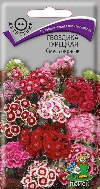 Купить Гвоздика Турецкая 0,5 г, семена Яскрава в Хмельницком ...