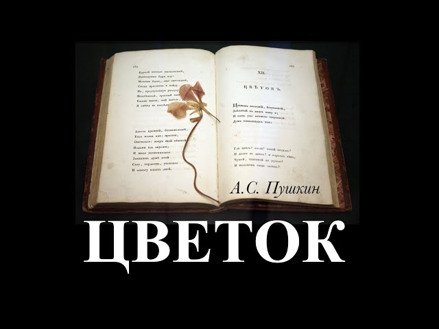 А.С. Пушкин «Цветок» - читает Александр Грин - YouTube