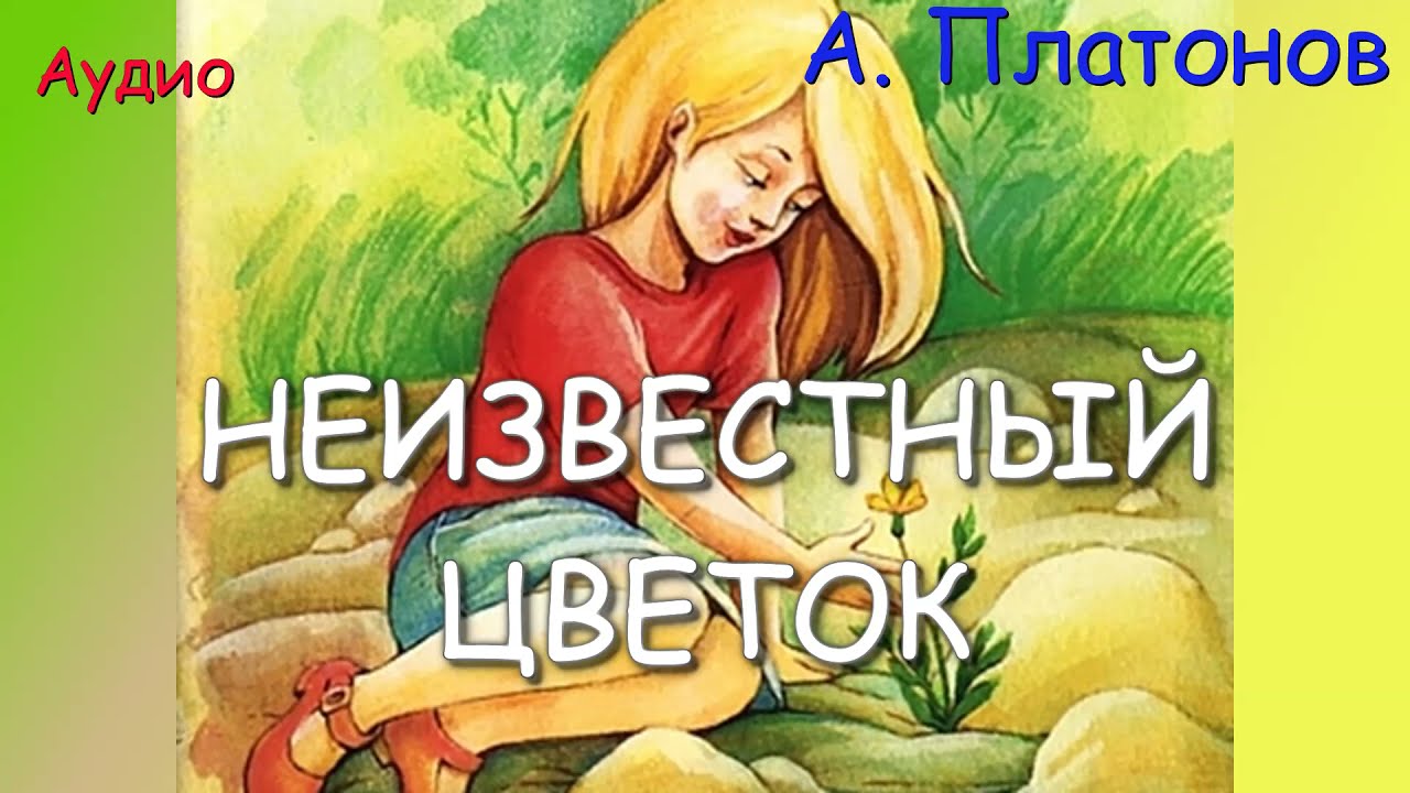 Неизвестный цветок