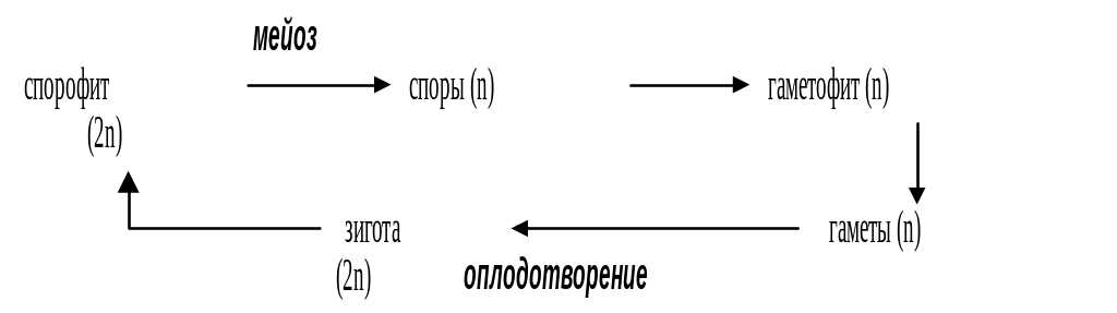 🧚🏻‍♀️ СЕГОДНЯ ДЕНЬ ИСПОЛНЕНИЯ ЖЕЛАНИЙ Все началось с того ...