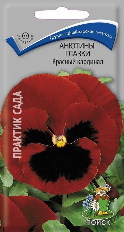 Семена анютины глазки Дом семян Рококо 41839 1 уп. - отзывы ...