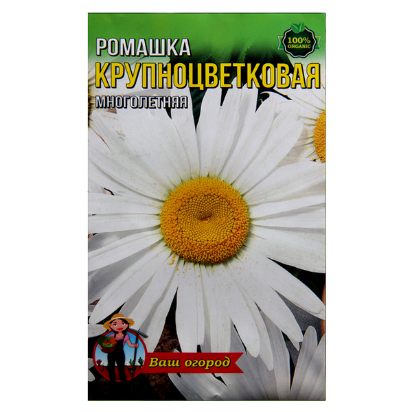 Купить семена Персидская ромашка Робинзон, многолетняя смесь ...