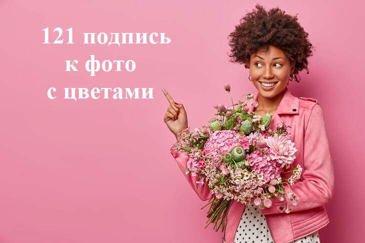 К чему дарят белые розы?