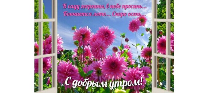 Доброго утра цветы открытка 6 - sendpic.com.ua