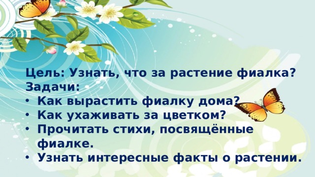 Фиалка. Душистое растение для души ...