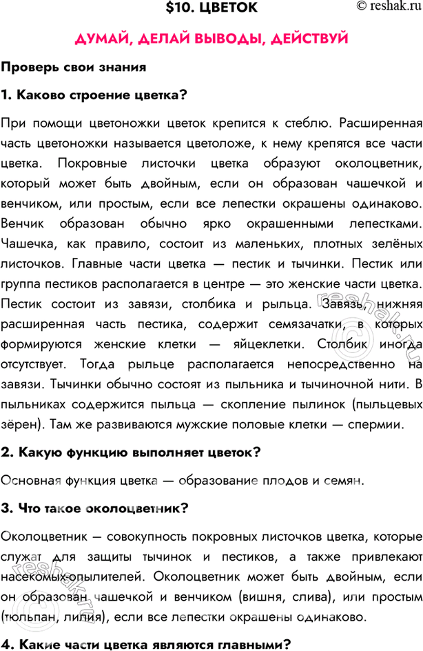 2. Типы почек растений, их строение. Пластохрон