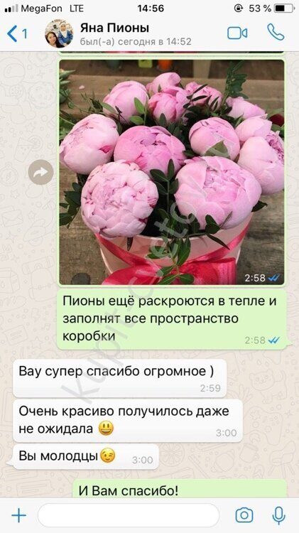 Каталог Цветочная Мафия