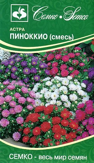 Семена астры китайской Пиноккио купить ...