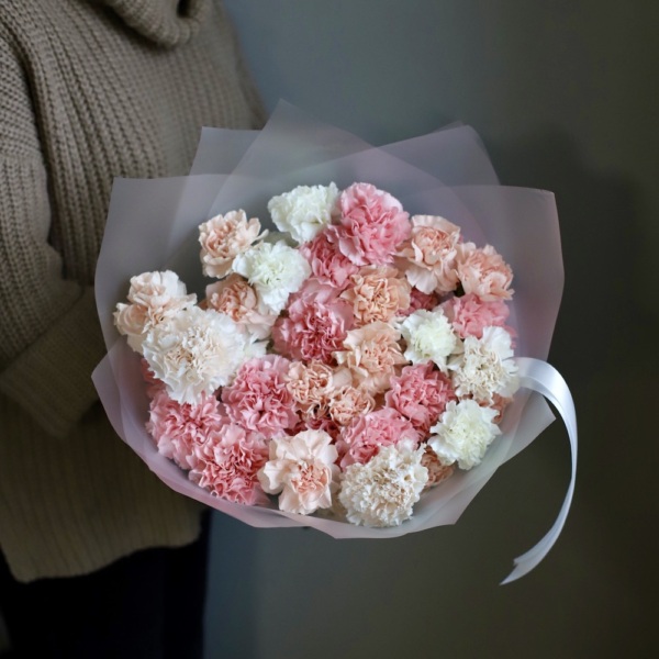 Dianthus caryophyllus ...