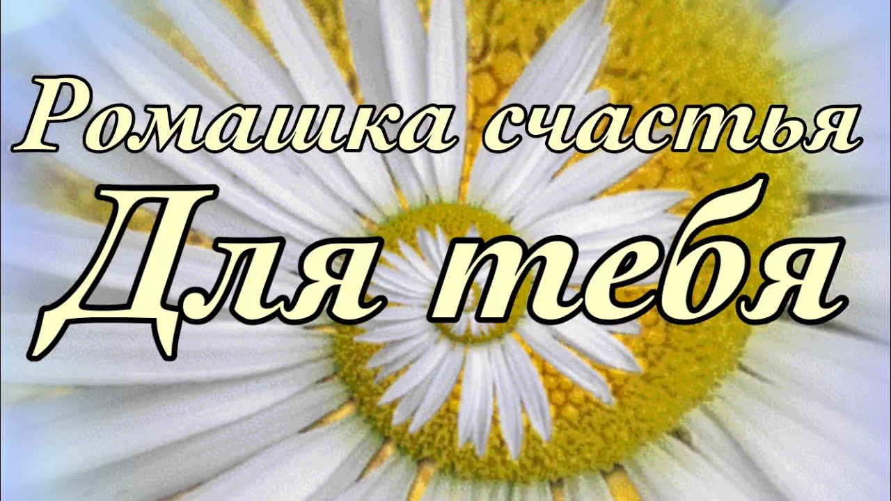 Спокойной ночи - Спокойной ночи added a new photo.