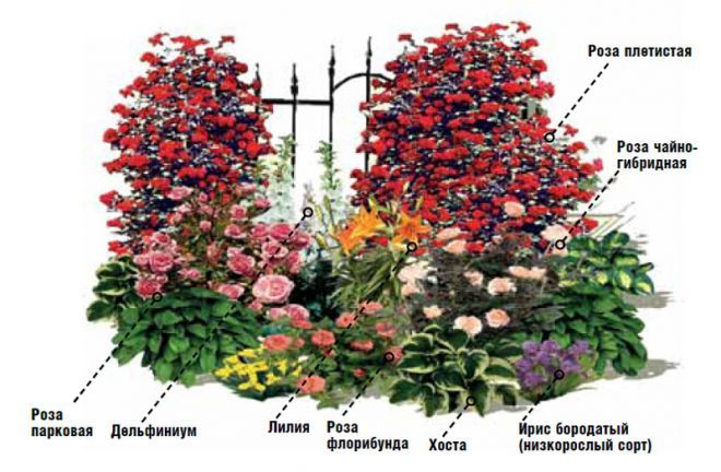 Классический цветник с розой купить в Москве по низкой цене ...