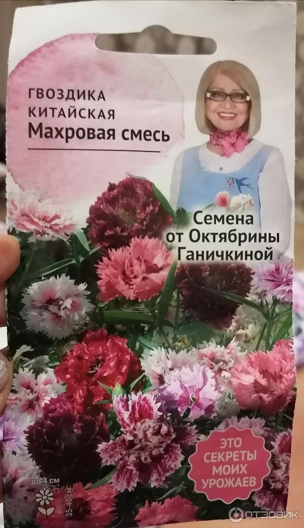 Семена Гвоздика Китайская Мерри ...