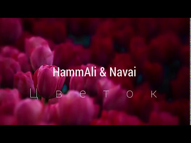 Хочешь, я к тебе приеду - HammAli & Navai: Song Lyrics, Music ...