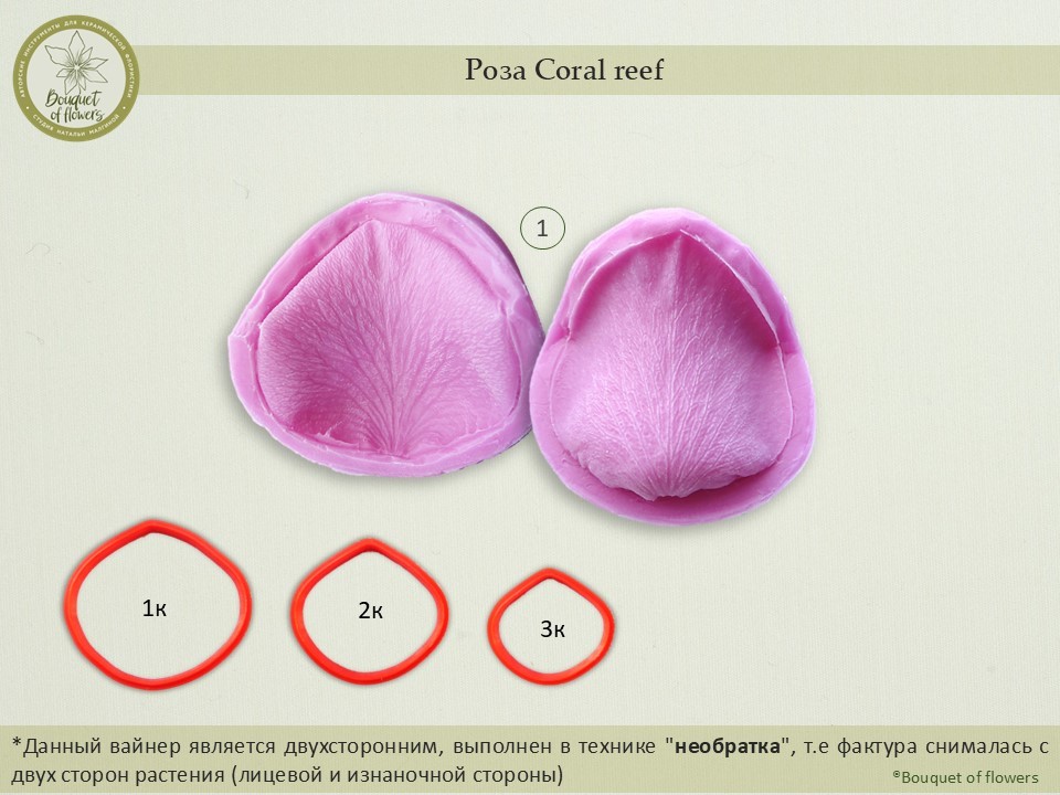 Rosa ecu coral reef 60 - Bruflor