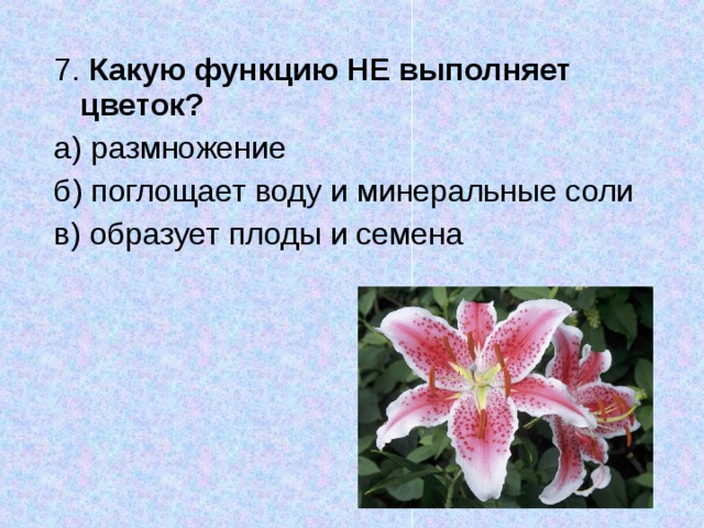 Олимпиада школьников СПбГУ по биологии