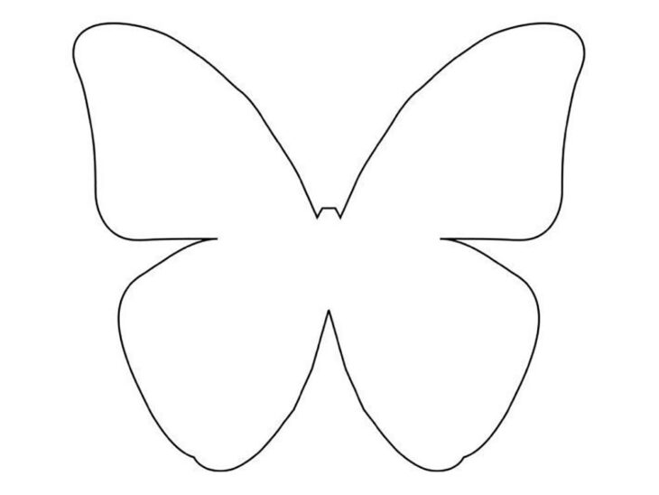 Butterfly cake template - купить ...