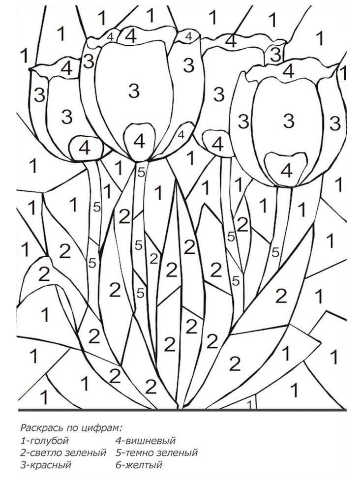 раскраски по цифрам распечатать, рисунки по цифрамAmelica