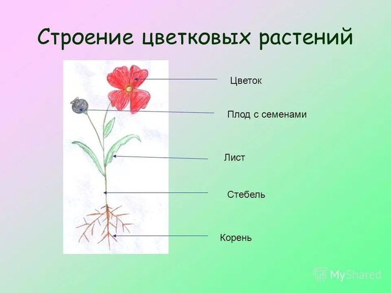 Купить 10 шт., искусственная бархатная роза с зелеными ...