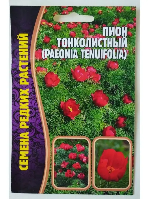 ПИОН ТОНКОЛИСТНЫЙ МАХРОВЫЙ (TENUIFOLIA PLENA) - Пионы ...