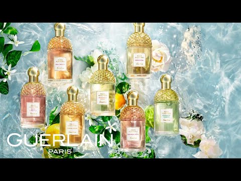 Guerlain Aqua Allegoria Forte Rosa Rossa - «Роза во всей ...