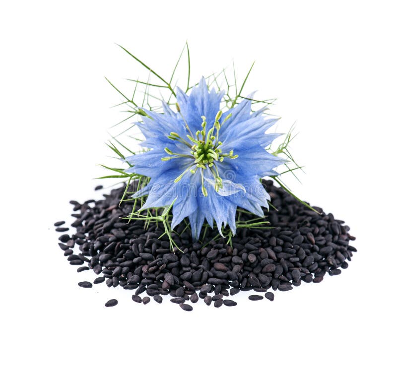 Капсулы Чёрный Тмин Nigella Sativa Эфиопский сорт 90 шт ...