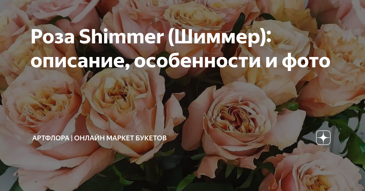 Шиммер для тела Rose Gold Mr.SCRUBBER купить в Украине ...