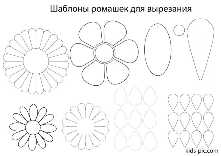 Черно белые цветы для детей на прозрачном фоне (42 фото)