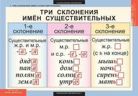 Cклонение Fingerhut | Все формы, множественное число, правила ...