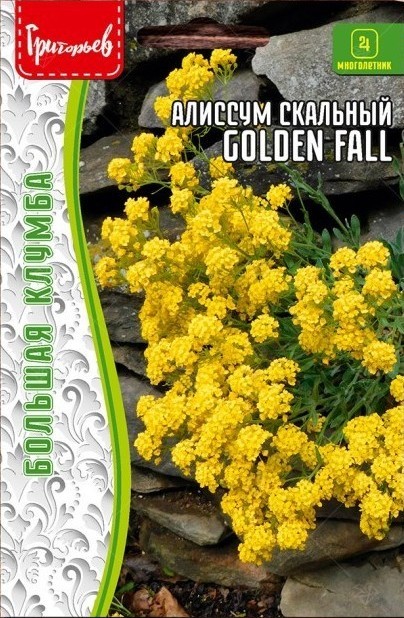 Купить Алиссум Скальный Golden Fall ...