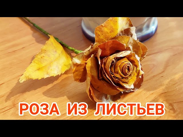 Букет роз из кленовых листьев | Советы ...