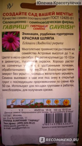 Эхинацея, рудбекия пурпурная Красная шляпа, 0,1г от 25 руб. в ...