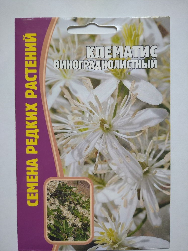 Клематис виноградолистный (Clematis vitalba L.) – Вьющиеся ...