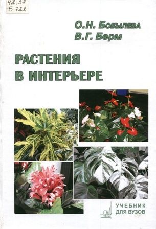 Как выращивать и ухаживать за Иберис вечнозелёный