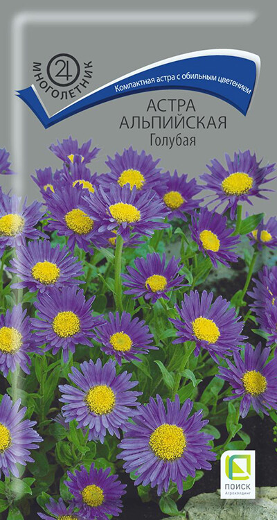 Астра альпийская (Aster alpinus) - Астра альпийская - Астра ...