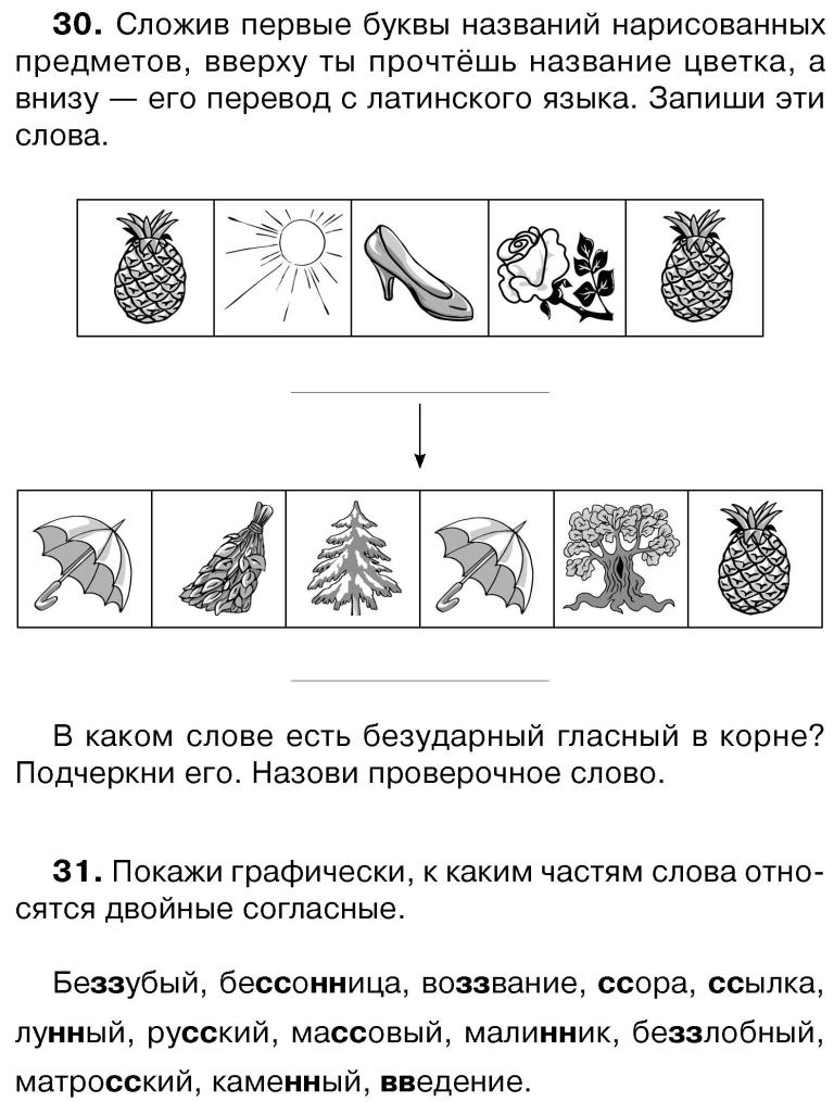 Цветы» фонетический разбор слова по составу