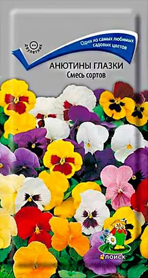 Купить фиалки недорого в Украине у коллекционеров почтой ...