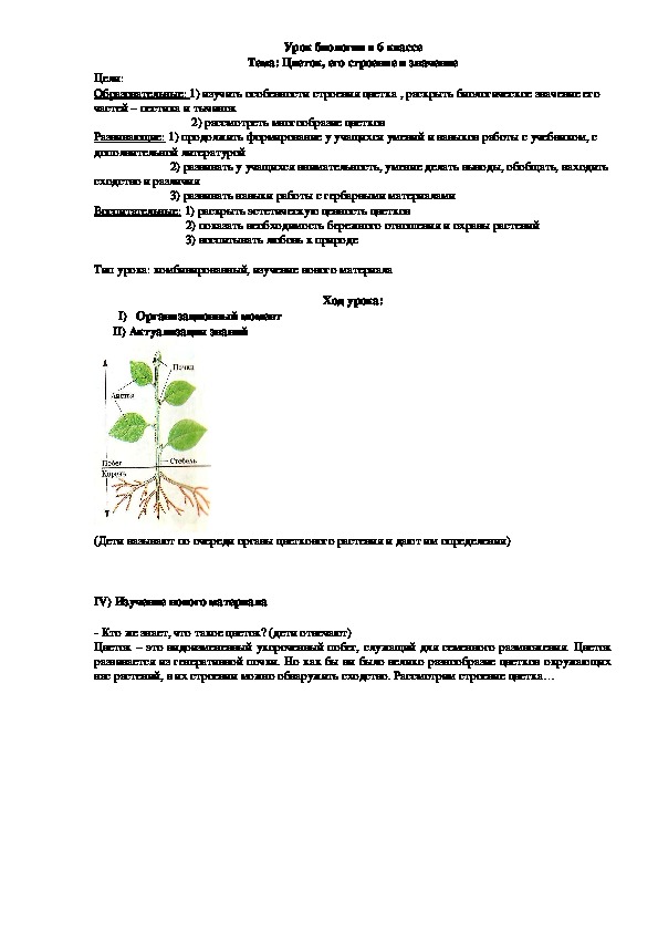 Строение и значение цветка.