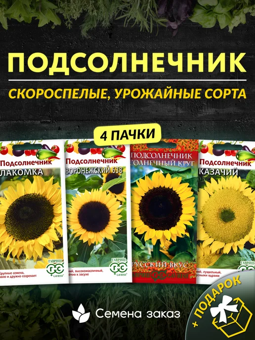 Семечки подсолнуха – купить в Москве, цена от 30 рублей/кг ...