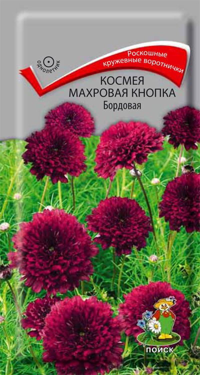 Космея Махровая Кнопка Двуцветная – купить семена в интернет ...