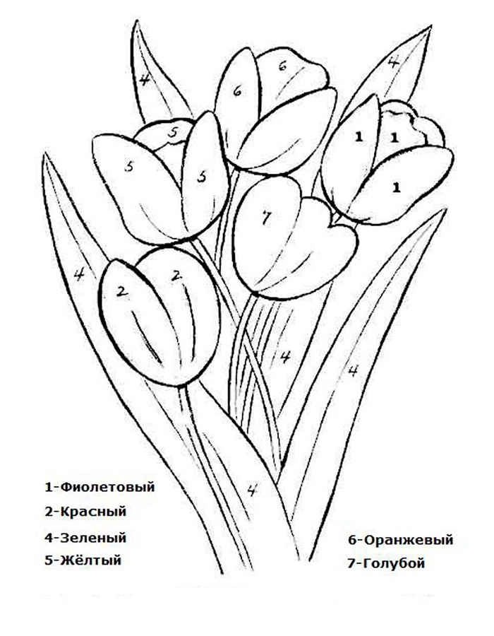 Купить недорогие цветы «Тюльпаны» в ...