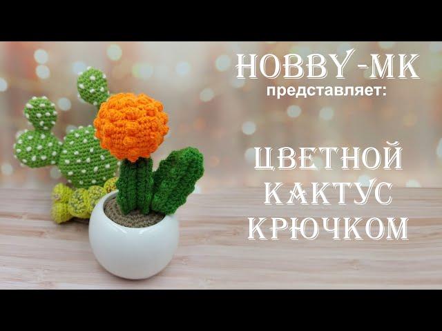 Мастер-класс по созданию Кактуса / 