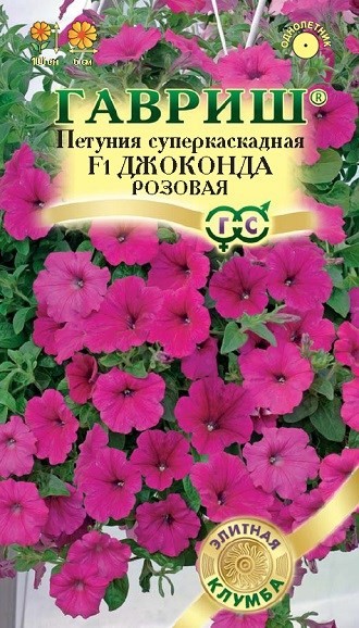 Чем заменить петунию: 5 цветов, которые проще в уходе | В ...