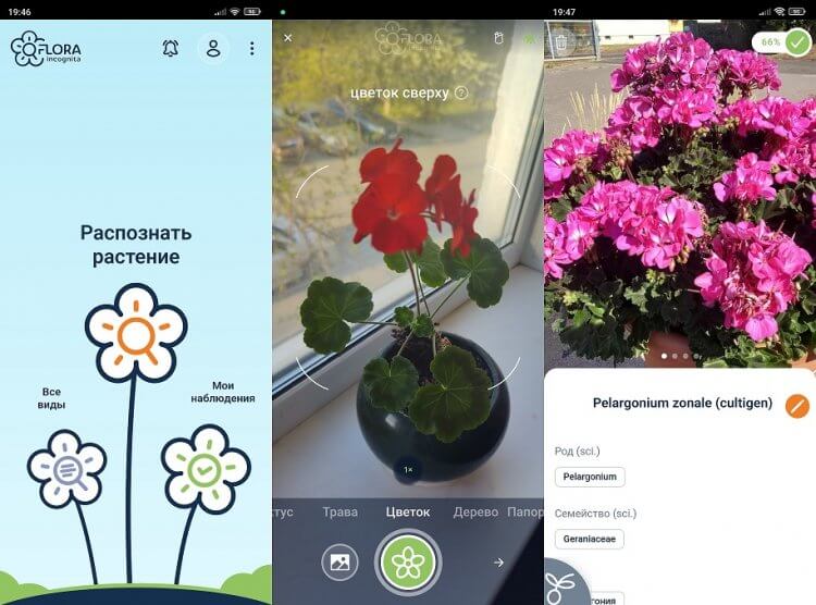 Приложения в Google Play – PlantSnap