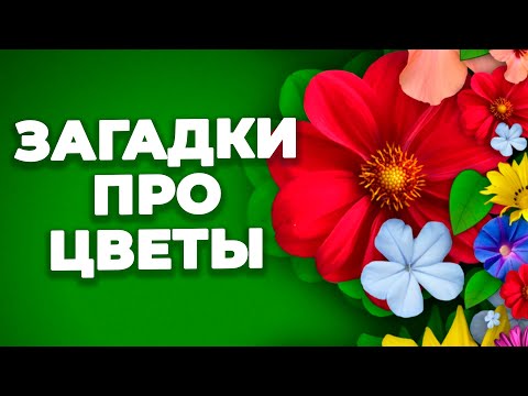 Загадки про фиалку для детей: проверь свои знания про цветы!