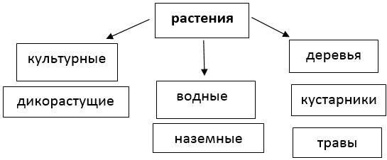 СЕМЕНА 🌿 РАСТЕНИЯ 🌿 УДОБРЕНИЯ | 🦖 Сегодня снова о хищниках ...