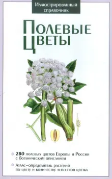 Какие полевые цветы выбрать для букета - советы флористов на ...